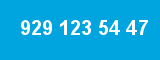 929 123 54 47 929 123 54 47